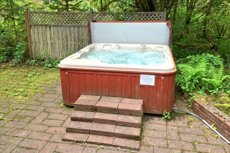  vacation rentals united states washington deming  st helens pl 