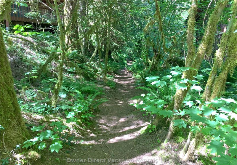  vacation rentals united states washington deming  st helens pl 