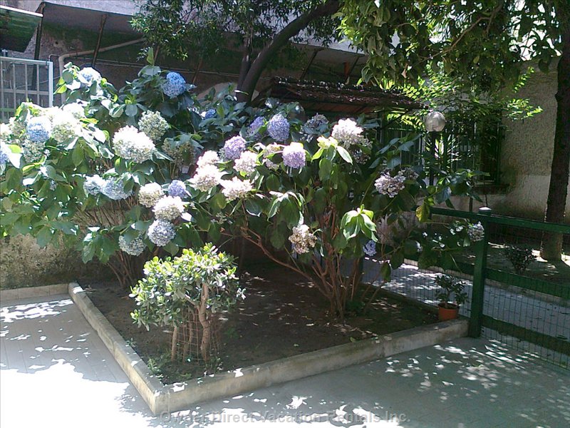  vacation rentals italy campania napoli cupa carbone  