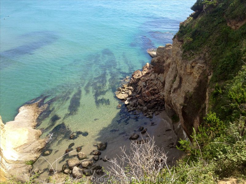  newport or vacation rentals vacation rentals united states oregon otter rock 