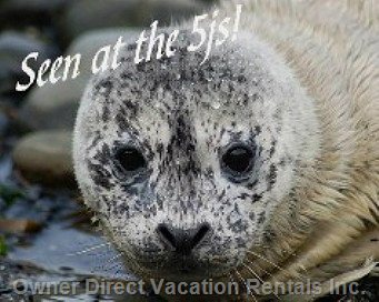  newport or vacation rentals vacation rentals united states oregon otter rock 