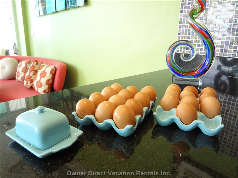  acqua flamingo vacation rentals vacation rentals mexico nayarit buceras 