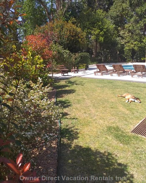  open door vacation rentals vacation rentals argentina buenos aires province lujn 
