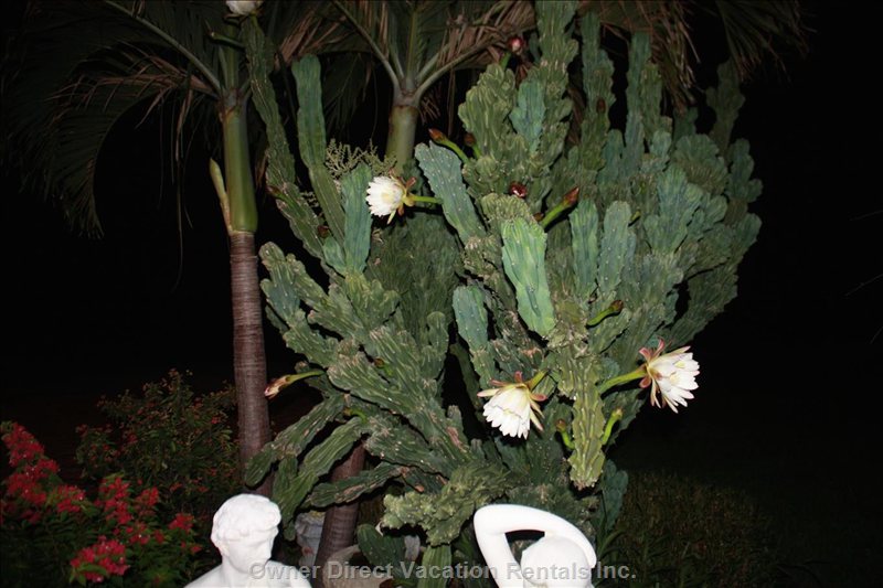  palm beach gardens vacation rentals vacation rentals united states florida palm beach gardens 