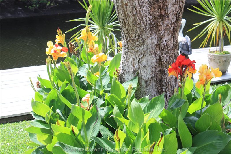  palm beach gardens vacation rentals vacation rentals united states florida palm beach gardens 