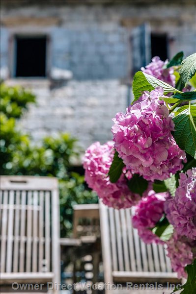  perast vacation rentals vacation rentals montenegro kotor municipality perast 