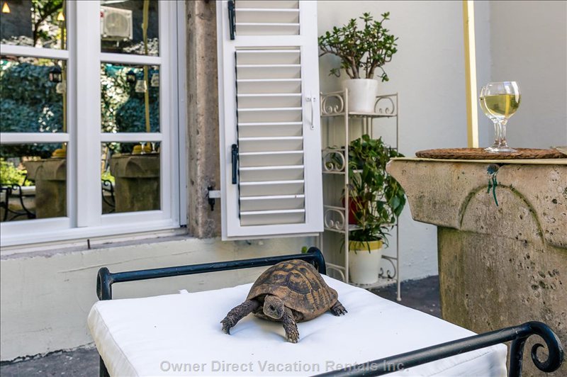  perast vacation rentals vacation rentals montenegro kotor municipality perast 