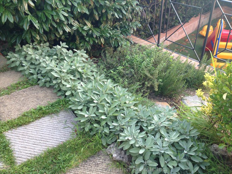  vacation rentals italy umbria perugia strada vicinale colle san giorgio 