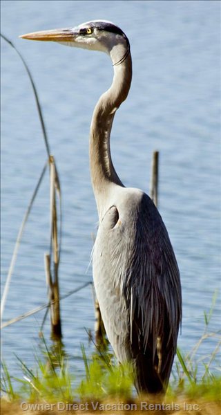  vacation rentals united states florida port charlotte  administration street 