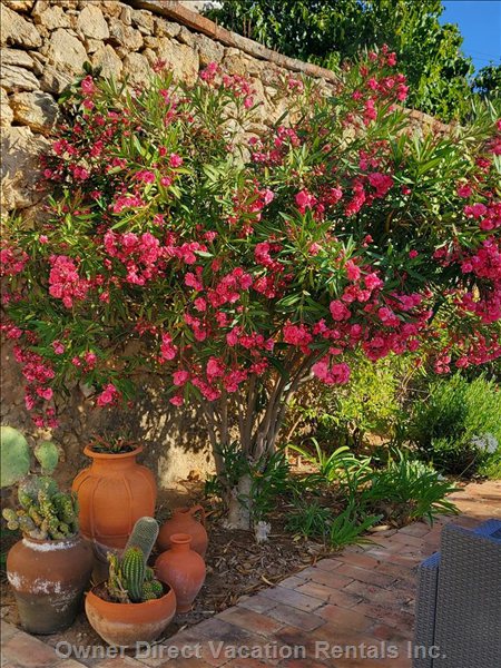  gale vacation rentals vacation rentals portugal faro guia 