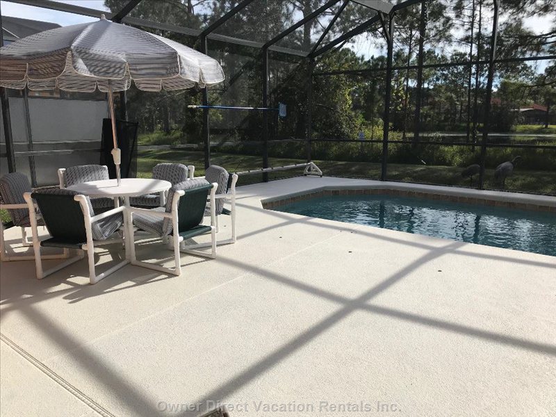  water song vacation rentals vacation rentals united states florida davenport 