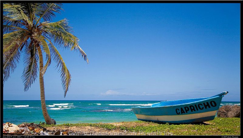  bavaro green vacation rentals vacation rentals dominican republic la altagracia punta cana 