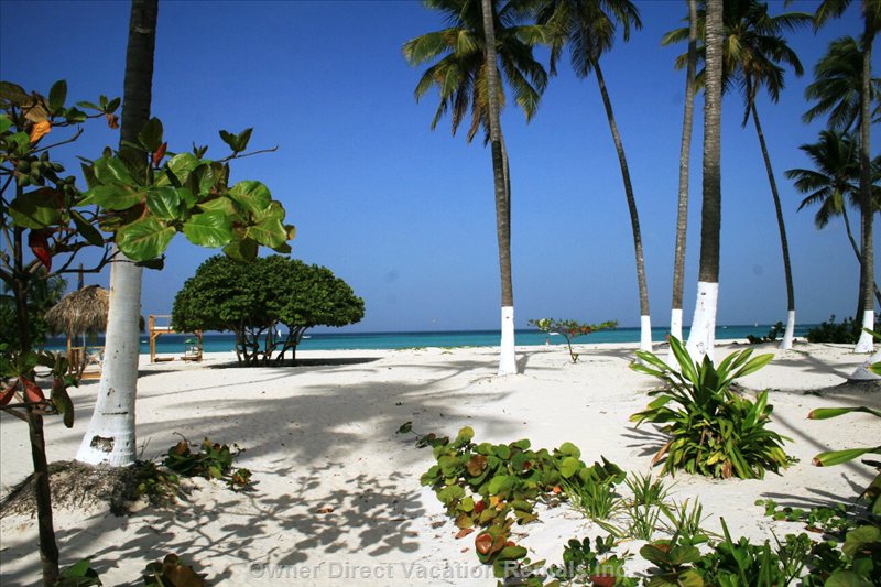 bavaro green vacation rentals vacation rentals dominican republic la altagracia punta cana 