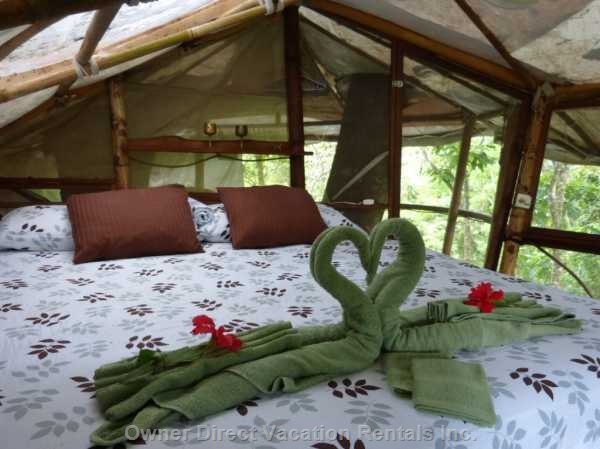  vacation rentals costa rica provincia de puntarenas tigre sombra de la lapa lapas nest 