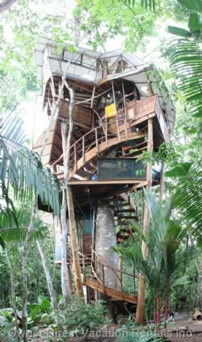  vacation rentals costa rica provincia de puntarenas tigre sombra de la lapa lapas nest 
