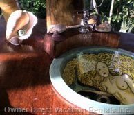  vacation rentals costa rica provincia de puntarenas tigre sombra de la lapa lapas nest 