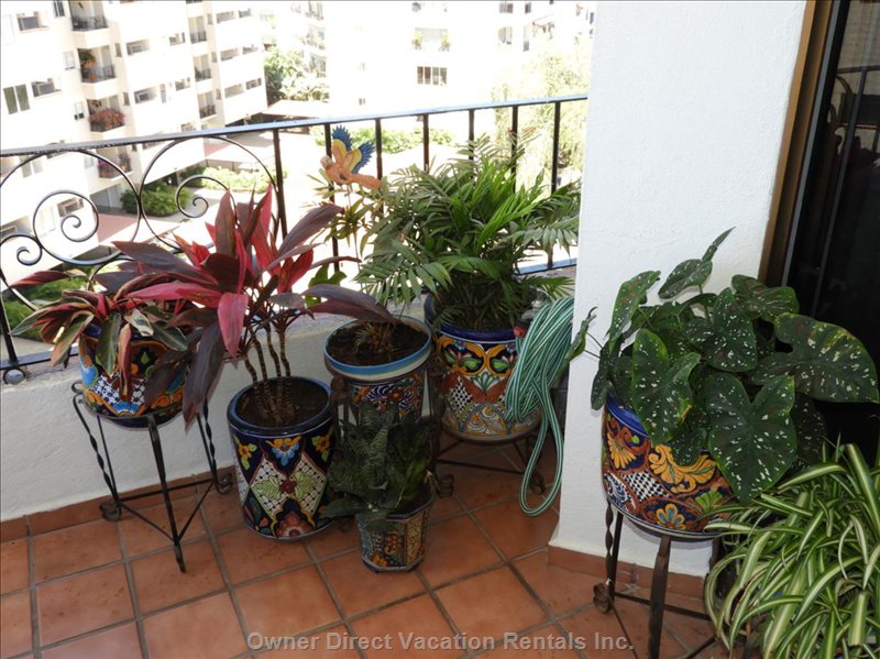  vacation rentals mexico jalisco puerto vallarta aquiles serdan  