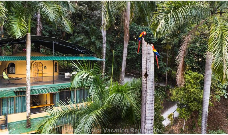 quepos vacation rentals vacation rentals costa rica provincia de puntarenas bo 