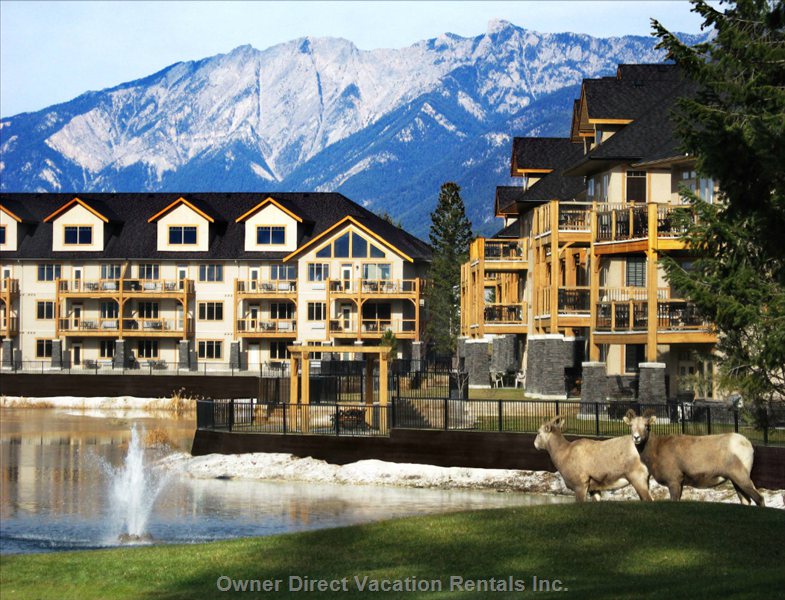  bighorn meadows resort vacation rentals vacation rentals canada british columbia radium hot springs 