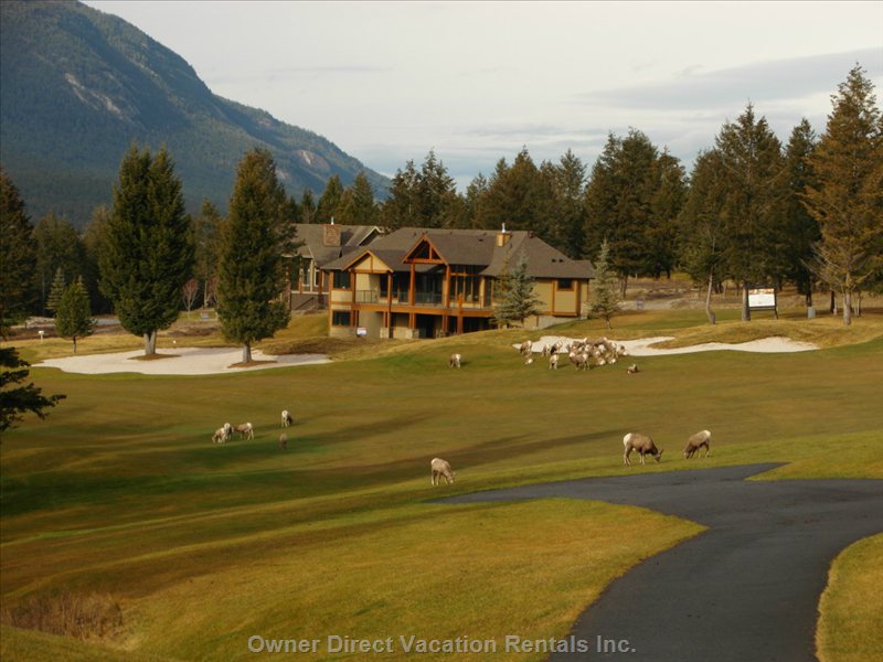  bighorn meadows resort vacation rentals vacation rentals canada british columbia radium hot springs 