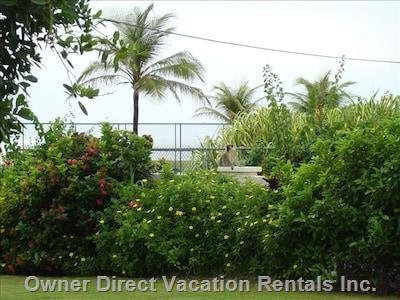  vacation rentals barbados saint philip diamond valley limpet avenue 