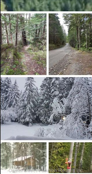  vacation rentals canada british columbia shawnigan lake renfrew road 
