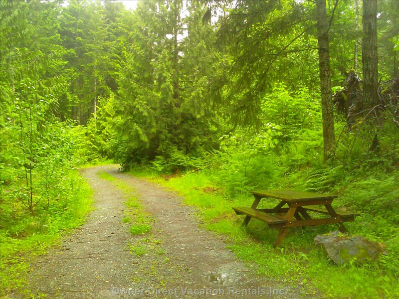  vacation rentals canada british columbia shawnigan lake renfrew road 