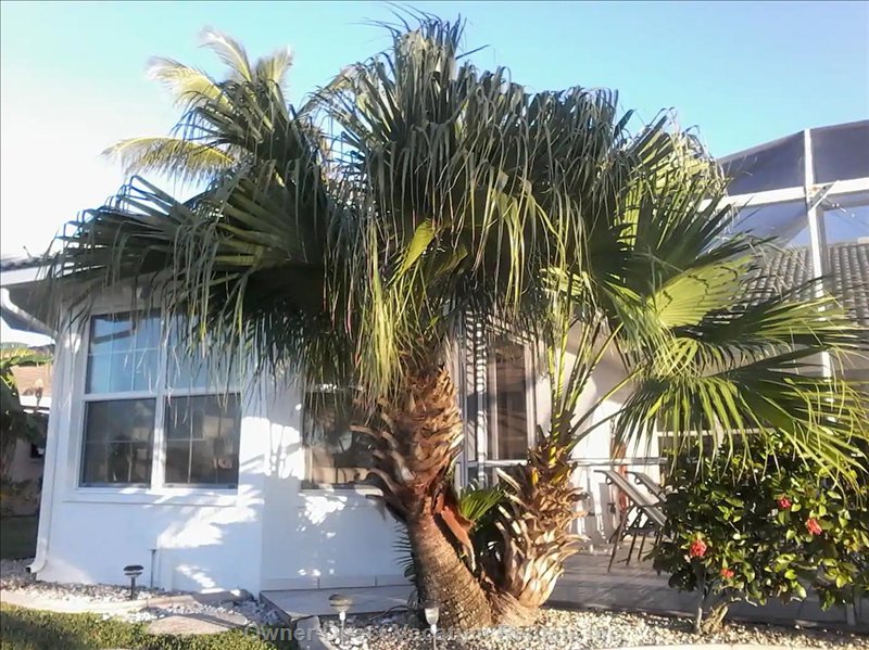  vacation rentals united states florida cape coral  southeast th place 