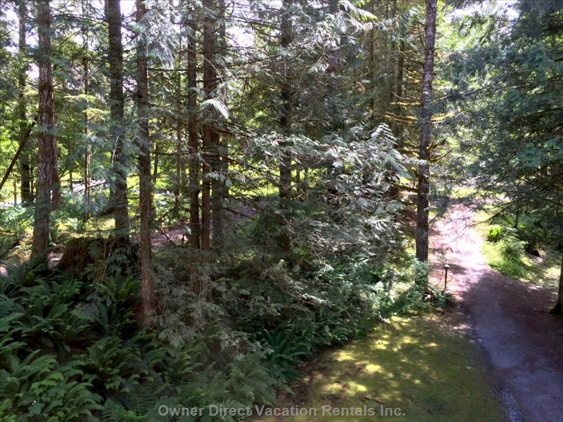  vacation rentals united states washington deming  mt baker hwy 