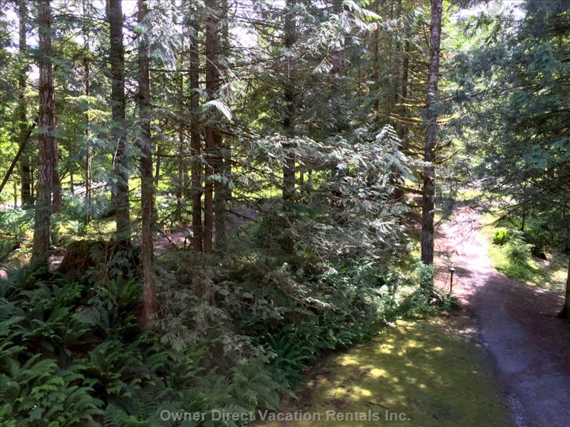 mount baker snoqualmie forest vacation rentals vacation rentals united states washington deming vacation rentals united states washington deming vacation rentals united states washington deming