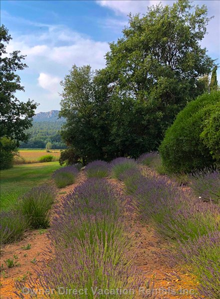  rians vacation rentals vacation rentals france provence alpes cte dazur rians 