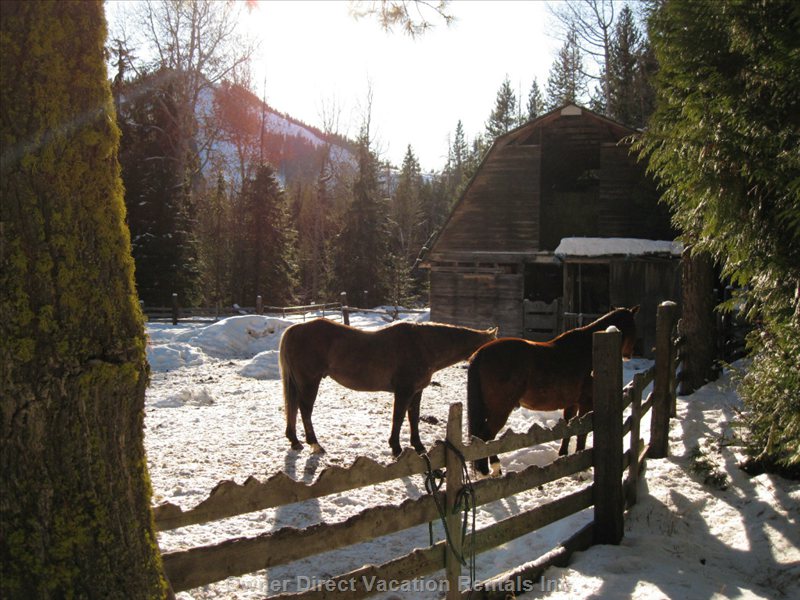  red mountain vacation rentals vacation rentals canada british columbia trail 
