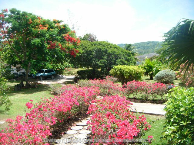  runaway bay vacation rentals vacation rentals jamaica st ann parish runaway bay 