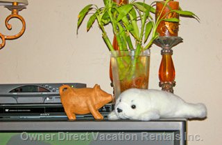  vacation rentals united states california encinitas  a rd street 