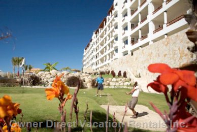  alegranza vacation rentals vacation rentals mexico baja california sur san jos del cabo 