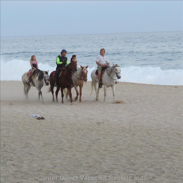  mykonos bay resort vacation rentals vacation rentals mexico baja california sur san jos del cabo 