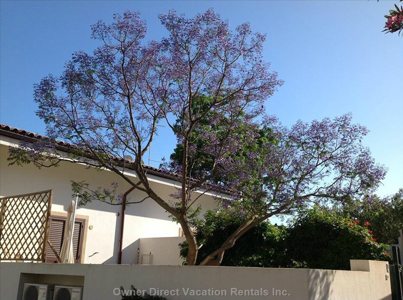  vacation rentals italy sicilia sciacca via tacito  