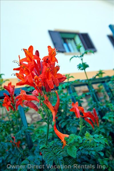  vacation rentals italy sicilia sciacca via tacito  
