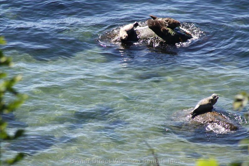  sechelt vacation rentals vacation rentals canada british columbia sechelt 