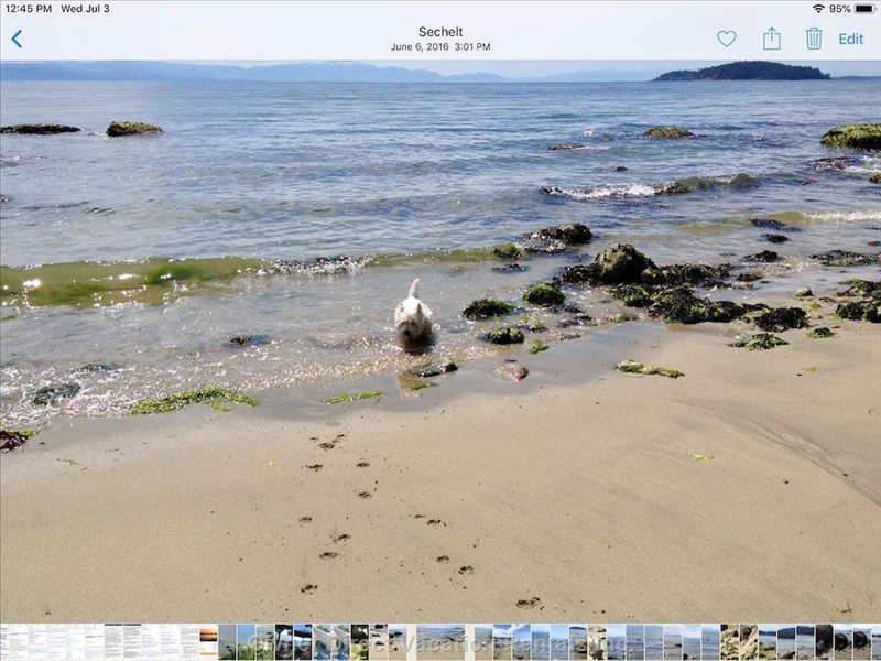  sechelt vacation rentals vacation rentals canada british columbia sechelt 