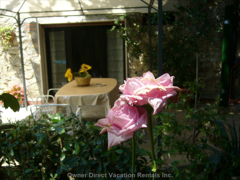  vacation rentals italy umbria castiglione del lago via partigiani  villastrada umbra 