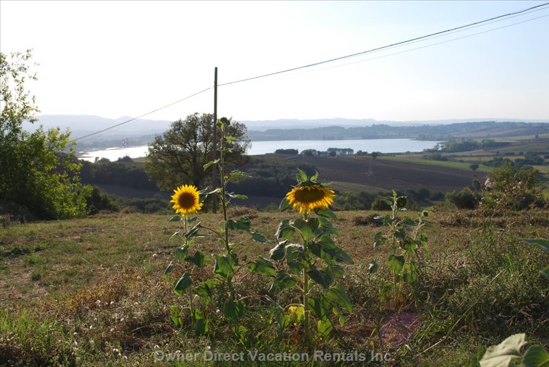  vacation rentals italy umbria castiglione del lago via partigiani  villastrada umbra 