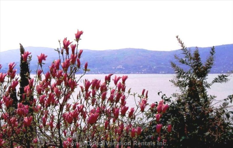  vacation rentals italy umbria castiglione del lago via partigiani  villastrada umbra 