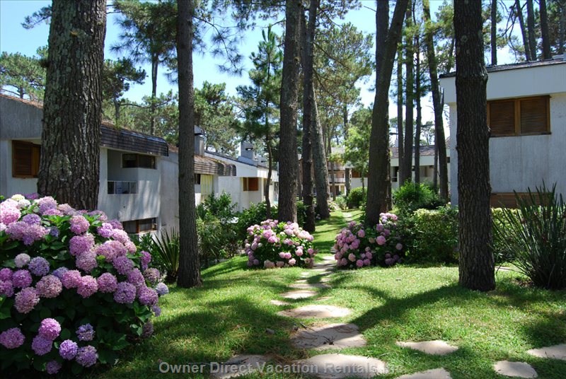  villagio riviera vacation rentals vacation rentals uruguay departamento de maldonado punta del este 