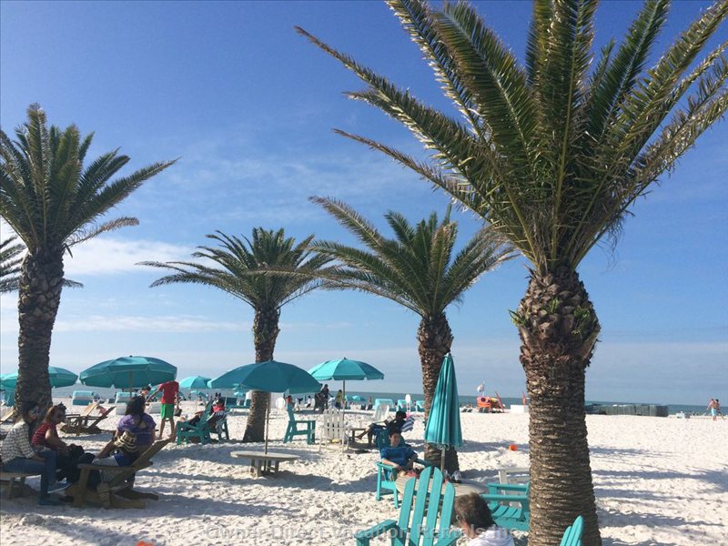  vacation rentals united states florida davenport  cassia dr  
