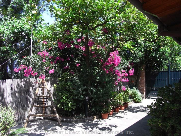 accommodation british columbia  vacation rentals italia campania sorrento