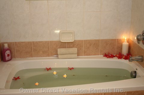  vacation rentals barbados saint lucy checker hall the view 