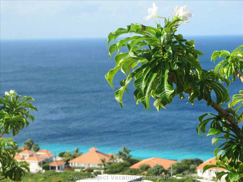  st willibrordus vacation rentals vacation rentals curaao curaao sint willibrordus 