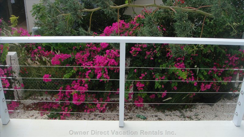  st willibrordus vacation rentals vacation rentals curaao curaao sint willibrordus 