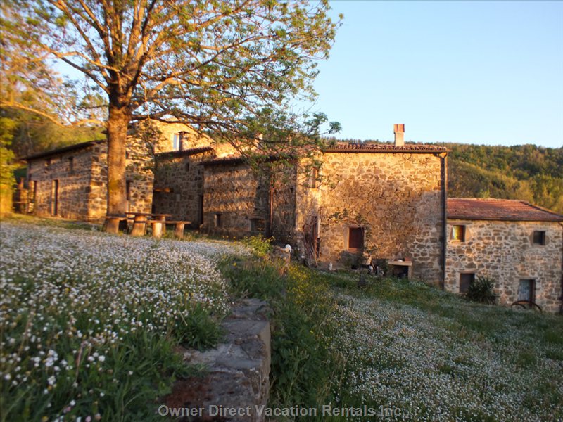  vacation rentals italy toscana pescina podere barbaglia pescina 